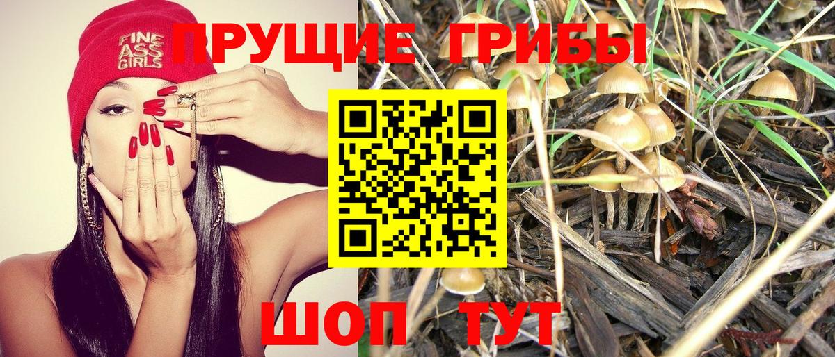 Галлюциногенные грибы прущие грибы Бутурлиновка